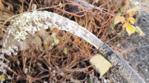 Смотрим за вакуумом