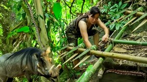 Изготовление ловушки для дикого кабана из зелёного бамбука. Лайфхак для охоты. Бушкрафт