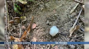 "Гастроли" иностранца прервали оперативники