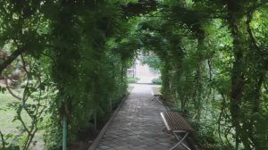 Незабываемый отдых в санатории "Знание". Город Адлер.