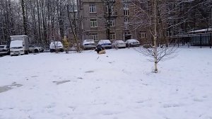 Вик и Макс, игры. Ноябрь25