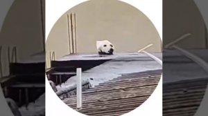 Я и моё зрение 😑🧐🤨