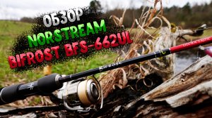 Обзор NORSTREAM BIFROST BFS - 662UL: универсал для ловли голавля на малой реке.