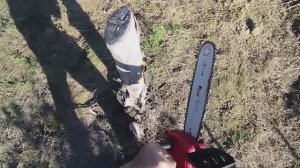 Обрезка мандарин до корня