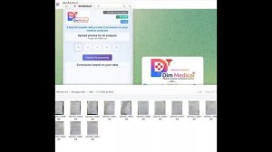 DimMedical - 5 Best AI Models on Your Medical Tests.mp4