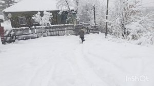 Зима.Один из Ситайкиных дней.