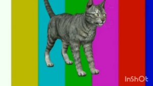 взлом (обрыв нормального вещания) МУЗ ТВ