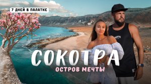 Сокотра 2025. Дикий рай и вся правда о самом необычном острове в мире!
