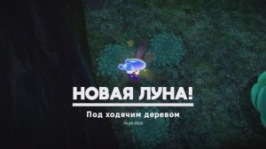 Под ходячим деревом