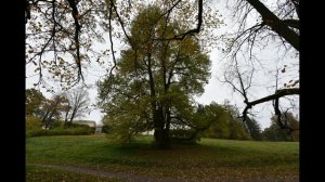 Павловский парк  12 октября 2016