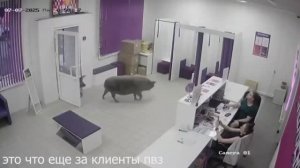 🍿 СКАНДАЛЫ в ПВЗ | Возврат не удался