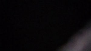 Здесь лапы у елей дрожат на весу