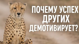 Суть успеха: как чужие победы демотивируют и заставляют сдаться