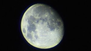 - Сыграем в шахматы