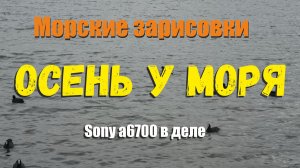 Осень у моря