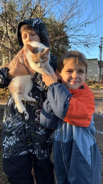 я нашёл кота на улице.mp4