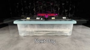 Реставрация винтажной клавиатуры