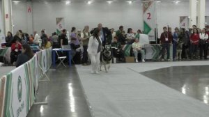 Моншер Вирсаль Манхэттен