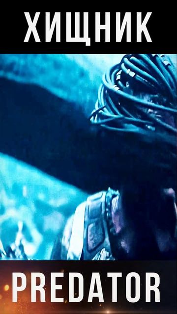 ПОЧЕМУ ХИЩНИК ПОМОГАЛ ВЕЙЛАНД ЮТАНИ? хищник фильм хищникпланетасмерти