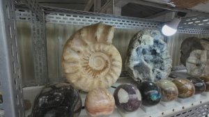 Мадагаскар часть 10. #Мадагаскар