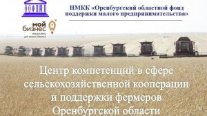Организация сельского хозяйства в условиях Оренбургской области с применением гос. поддержки