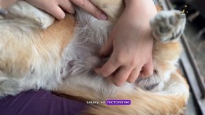 Цитрона продолжает лечение от рака. Поддержать ⬇️