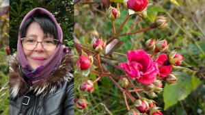 Иду в салон красоты...👩🏻