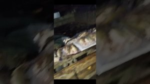 рыбалка на горной речке