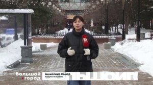 НОВОГОДНИЕ ПЛАНЫ. Большой город 20/11/2025