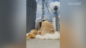 Грязные фейлы  Try Not to Laugh!