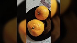 Созрел «Сатцума» 🍊 — вкусный и ароматный мандарин! 🍊🍊🍊