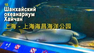 10 Шанхай - Шанхайский океанариум Хайчан - Путешествие по Китаю  上海 - 上海海昌海洋公园 - 中国旅游