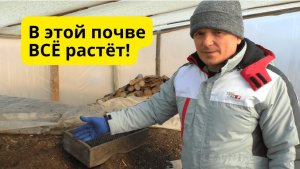 Делаем почву для рассады своими руками- всё прекрасно растет!