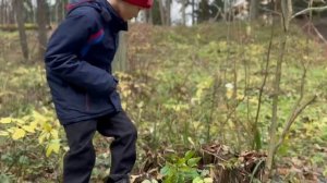 Детское кино.
"Тайна старого дерева"
В главной роли:
Ярослав ПЕТРОВ.
Создан фильм 
Мариной РУДИК.