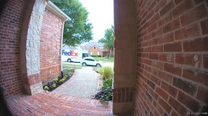 Курьеры против животных