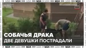 Две девушки пострадали при попытке разнять двух собак в Подмосковье