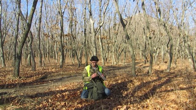 ГОРА СЕСТРА  ПОРТ ВОСТОЧНЫЙ ноябрь  2015 г (1)