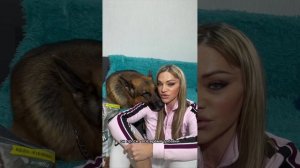 Друзья, всем привет 👋