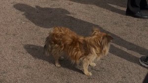 Медиацентр 23