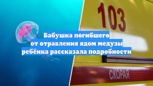 Бабушка погибшего от отравления ядом медузы ребёнка рассказала подробности