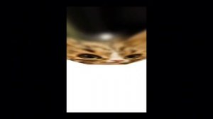 немного смешанных видео
:)