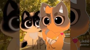 Отмечайте лучших друзей мой это ⋆_My Name Is Vee_⋆