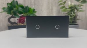 Панель для двух сенсорных выключателей Livolo, 2 клавиши, цвет черный матовый, BB-C7-C1/C1-12 MT