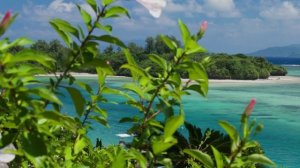 Սաղմոս/psalm /псалом 1