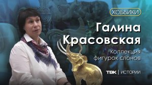 Коллекция фигурок слонов Галины Красовской / «Хоббики»