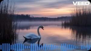 Константин Бальмонт — Лебедь