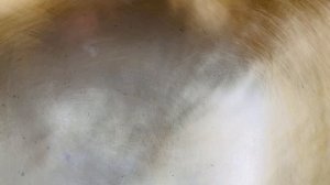 Кованая поющая чаша 20.2см, нота Фа 3 октавы 173гц Pr170