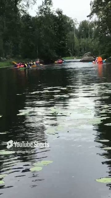Ленобласть. Хвойное. 14.07.2024. Река Вуокса. Турпоход на байдарках. Преодоление порога