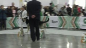 Сравнение рабочего класса