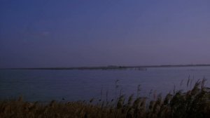 в серой дымке_ музыка Олега Сапегина ,слова Юлии Вихаревой,О.Сапегина